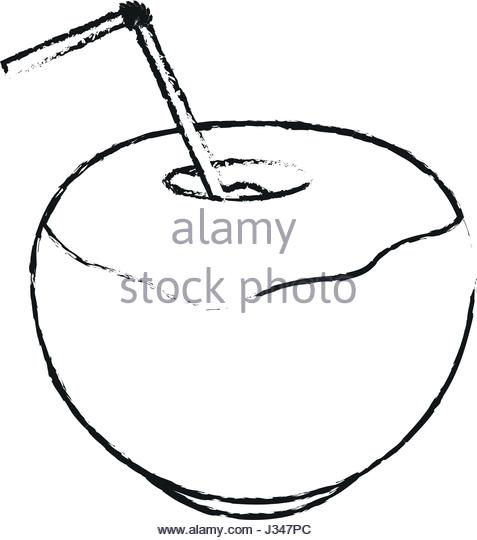 477x540 Drawing Coconut Cocktail Exotic Drink Stock Photos Amp Drawing