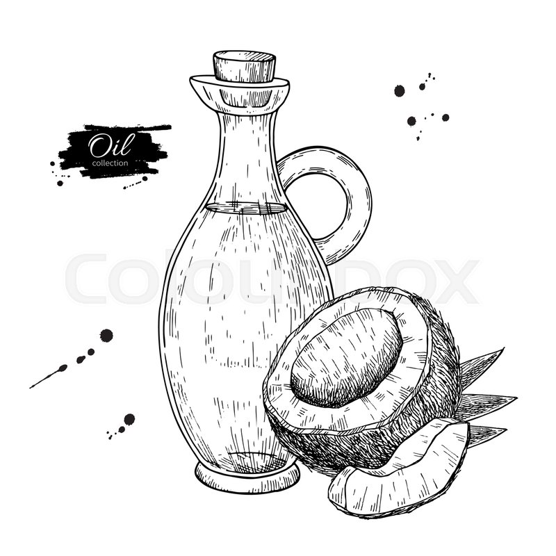 800x800 Bottle Of Coconut Oil. Vector Hand Drawn Illustration. Cooking