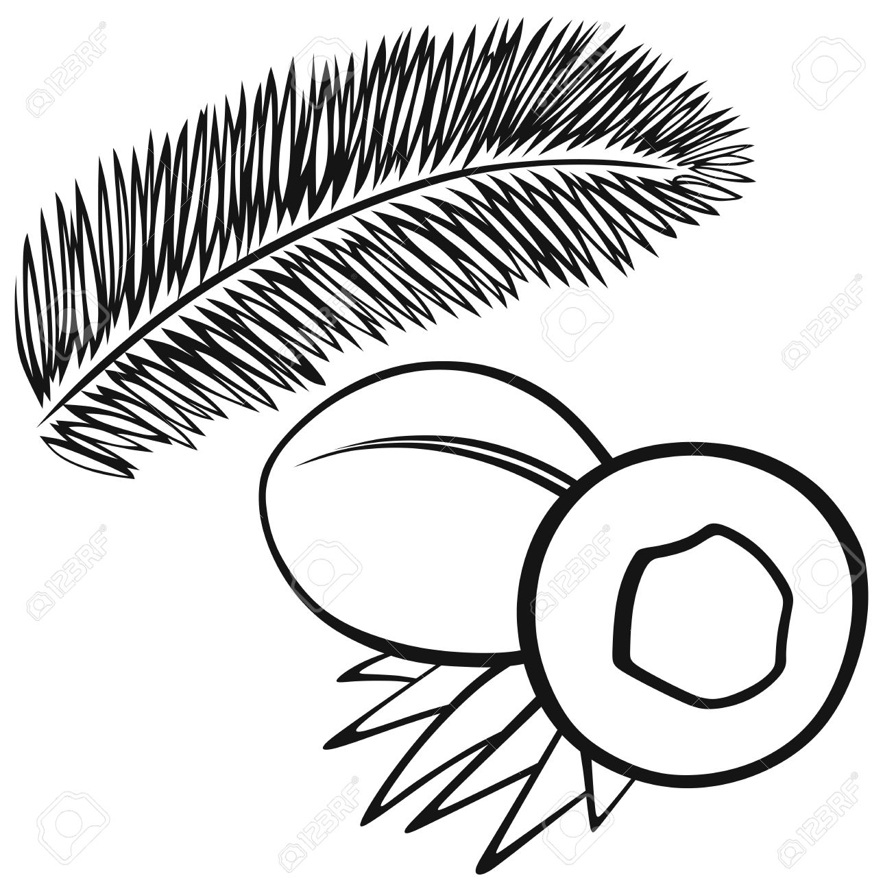 1288x1300 Leaves Clipart Coconut Leaf