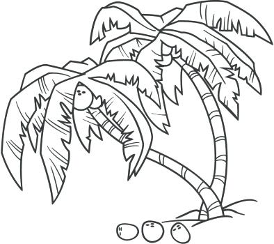394x350 Palm Tree Branches Coloring Pages Coconut Page Many Interesting 3