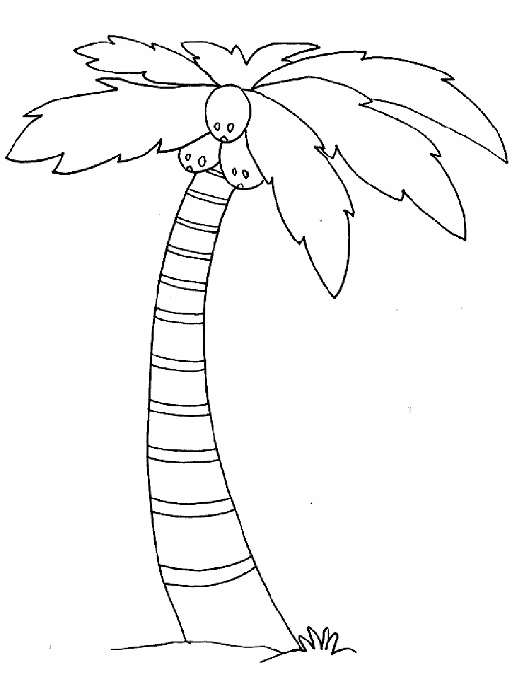 1000x1333 Strange Coconut Tree Trees Coloring Pages Kids Net