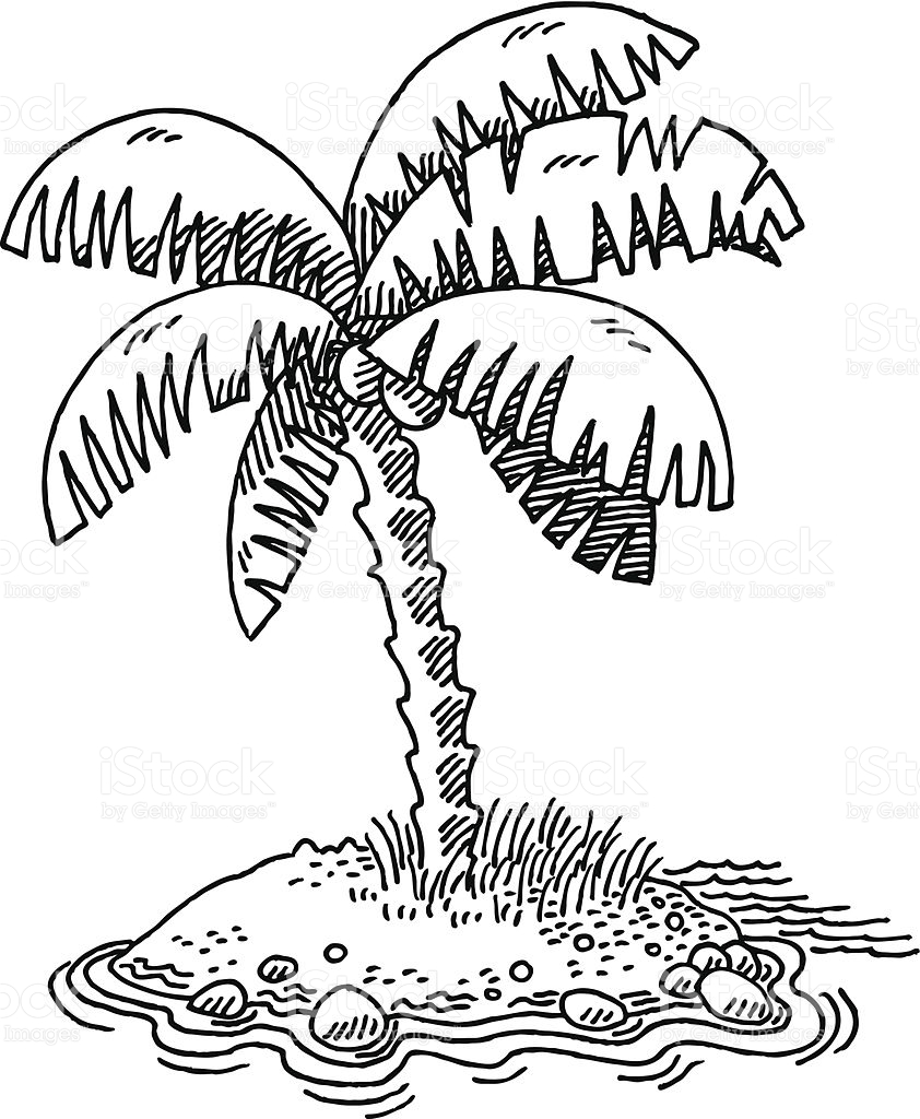 842x1024 Drawn Palm Tree Island