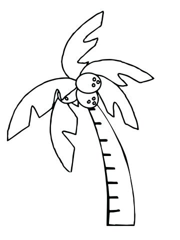 360x480 Palm Tree Branches Coloring Pages Coconut Page Many Interesting 3