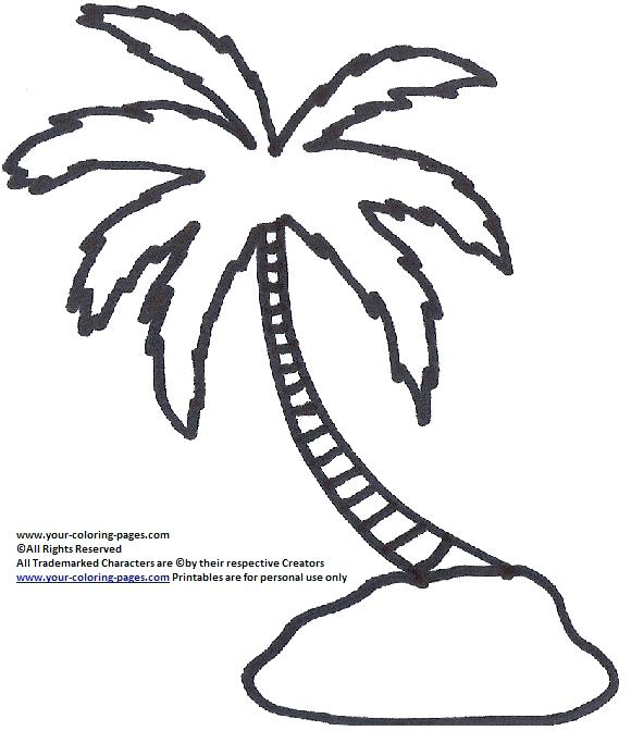 580x672 Palm Tree Coloring Pages Packed With Palm Tree Coloring Pages Tree