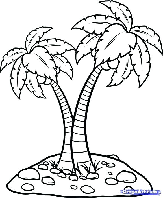 564x688 Coconut Palm Tree Coloring Page Pages Free