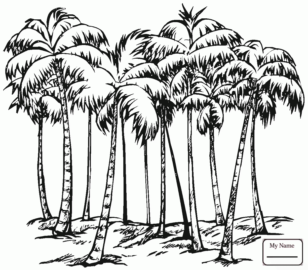 1224x1073 Coconut Palm Trees On Island Trees Leaves Coconut Palms Coloring