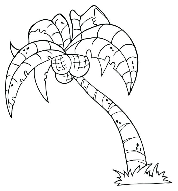 618x663 Coconut Tree Coloring