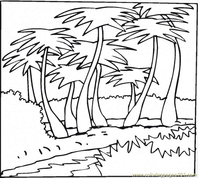 650x586 Coconut Tree 4 Coloring Page