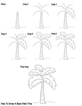 270x350 Drawn Palm Tree Line Drawing