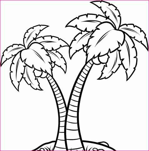 Coconut Tree Line Drawing at GetDrawings | Free download