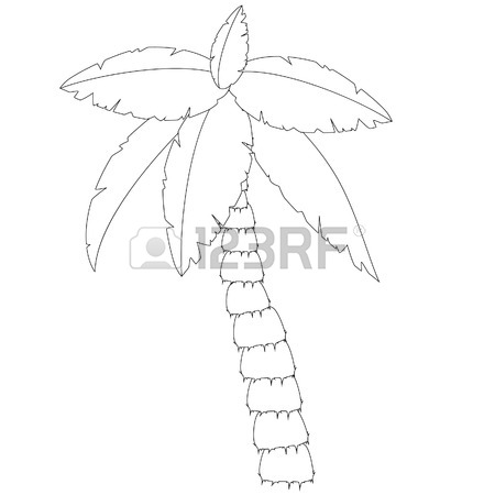 450x450 Palm Tree Outline Drawings, Coconut Tree, Palm Tree Raster