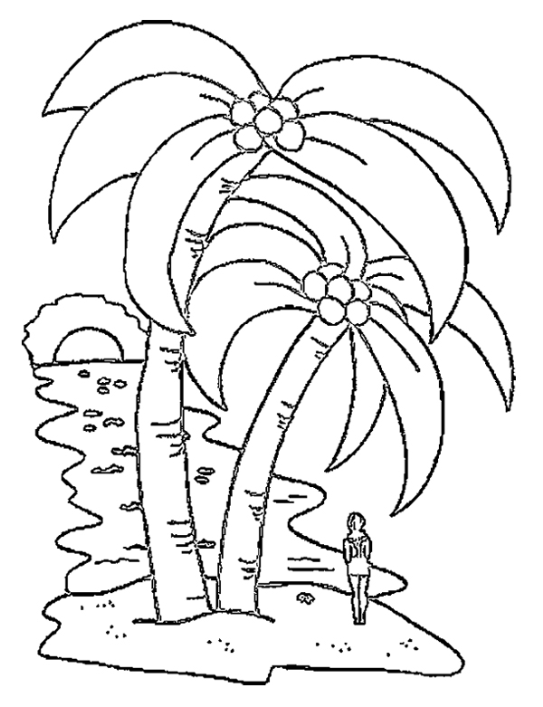 Coconut Tree Pictures Drawing at GetDrawings | Free download