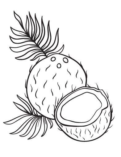 392x507 Coconut Tree Coloring Sheet Free Download