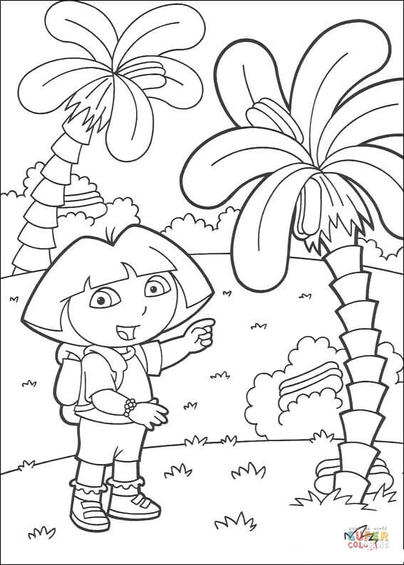 567x794 Coconut Tree Coloring Page Free Printable Coloring Pages