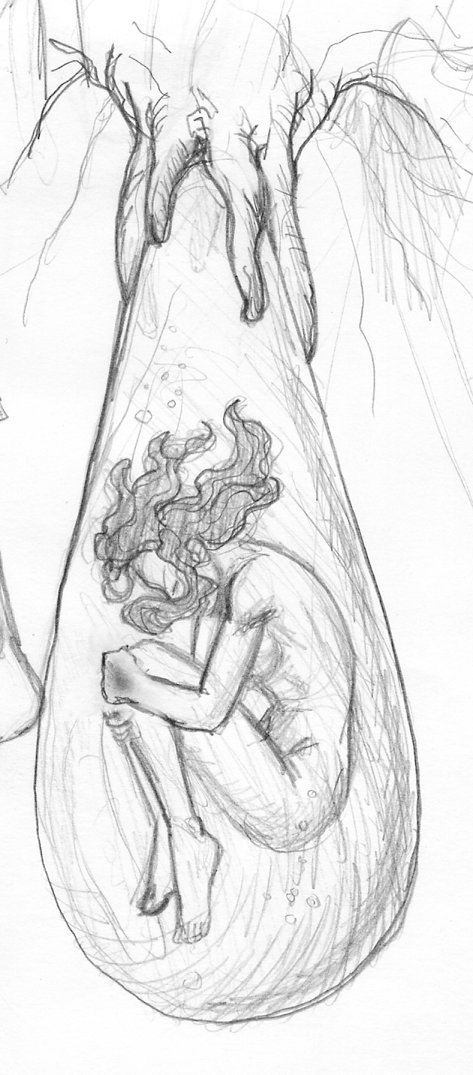 473x1075 Cocoon By Spartan207