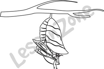 347x230 Lesson Zone Au