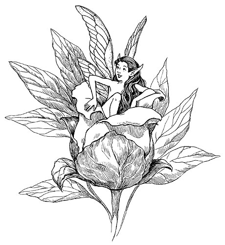 460x500 Busy Drawing Illustration Blog Illustration Friday Cocoon