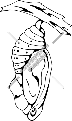 298x500 Cocoon Clipart And Vectorart Animals