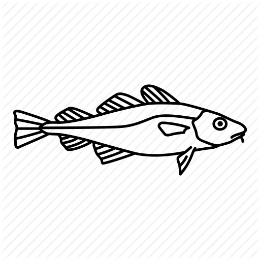 512x512 Cod, Fish, Food, Gills, Ocean, Sea, Seafood Icon Icon Search Engine