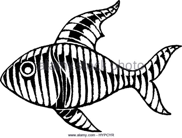 640x486 Drawing By Gill Stock Photos Amp Drawing By Gill Stock Images