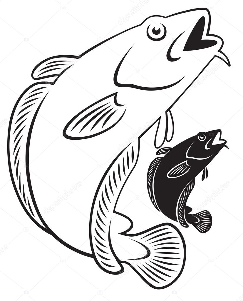 827x1024 Illustration Of A Cod Fish Stock Vector Kvasay