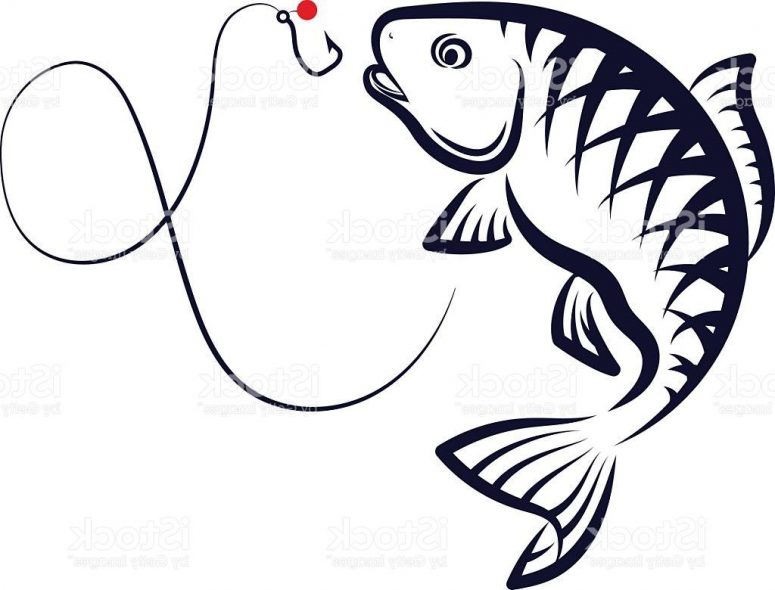 775x590 Best Free Fish Vector Drawing Cdr Free Clip Art Designs, Icons