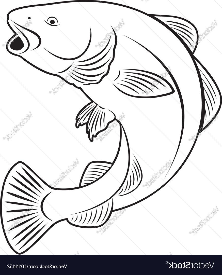 874x1080 Best Hd Cod Fish Vector Image