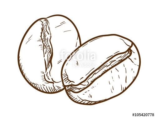 500x379 Coffee Beans Doodle, A Hand Drawn Vector Doodle Illustration