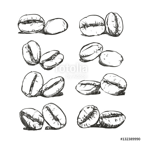 500x500 Coffee Bean Hand Drawn Vector Sketch, Coffee Clip Art Stock Image