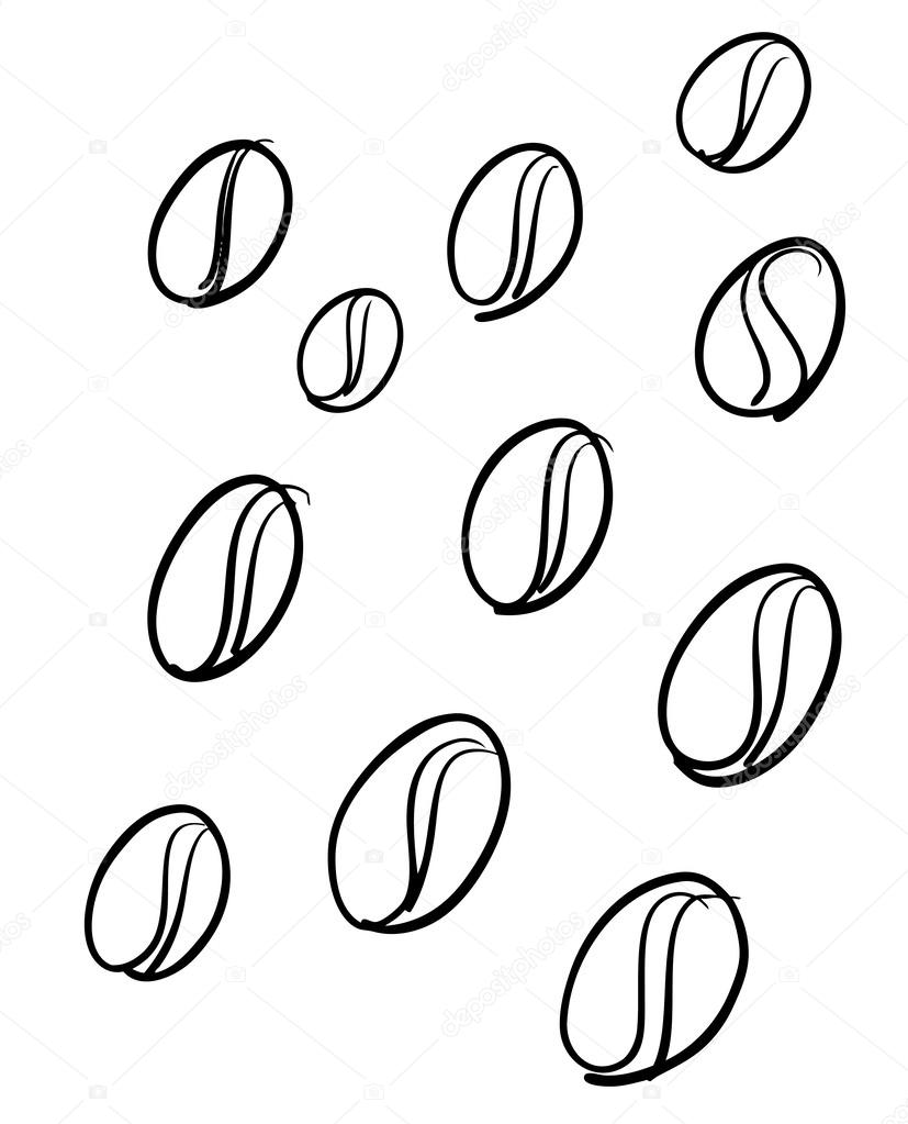 827x1023 Sketch Of Coffee Beans Stock Vector Paulartworks