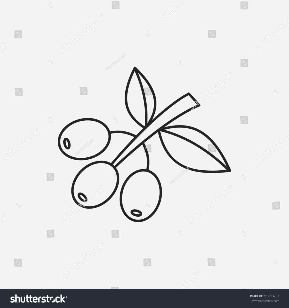 1185x1264 The Images Collection Of Icon Coffee Bean Line Stock Vector