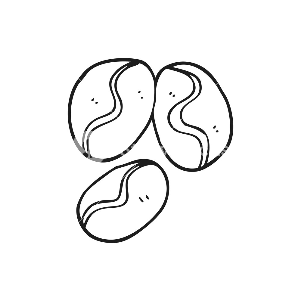1000x1000 Freehand Drawn Black And White Cartoon Coffee Beans Royalty Free