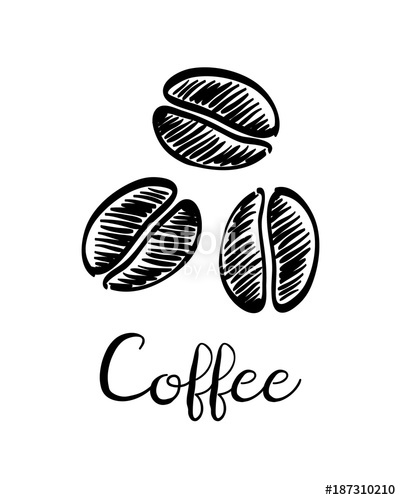 401x500 Coffee Beans Ink Sketch. Stock Image And Royalty Free Vector