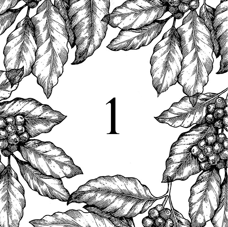 744x740 Hong Kong Monthly Coffee Gift Box