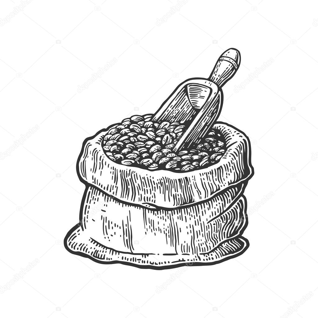 1024x1024 Sack With Coffee Beans With Wooden Scoop. Hand Drawn Sketch Style