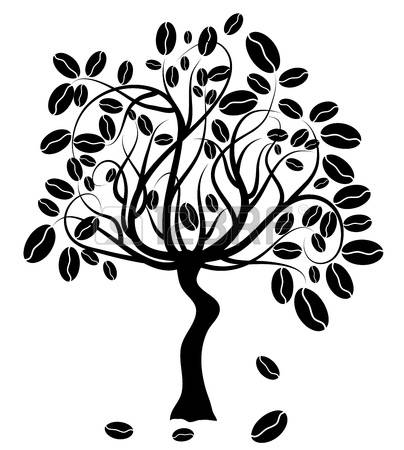 404x450 Tree Clipart Coffee Bean