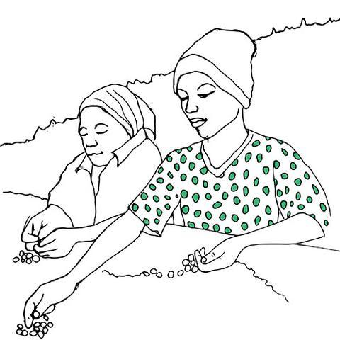 480x480 Coffee Beans For 6 Months The Bean Shop