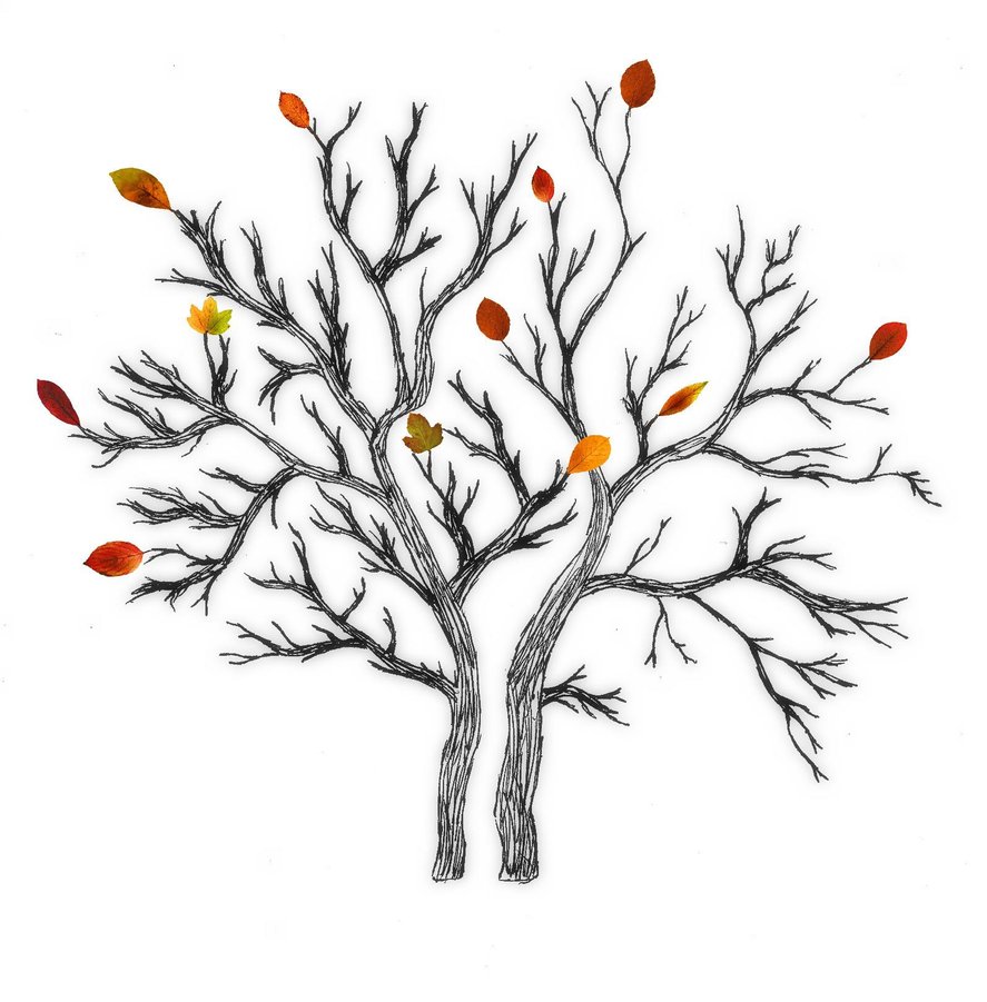 887x901 Dead Tree By Thecoffeeguy