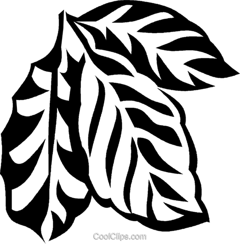 472x480 Coffee Plant Royalty Free Vector Clip Art Illustration Vc027576