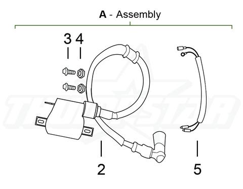 480x373 Tsb 110cc Coil New Zealand Bikes Amp Parts Thumpnz
