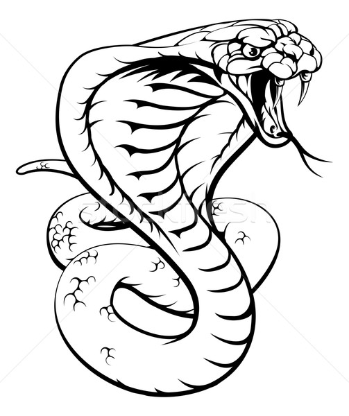 503x600 Coiled Snake Stock Photos, Stock Images And Vectors Stockfresh