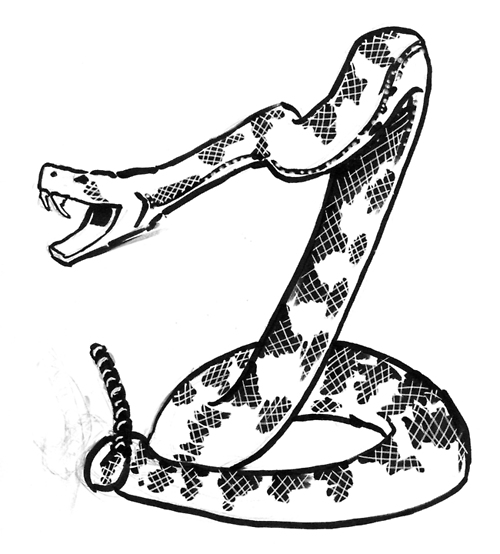 500x554 Rattlesnake Drawing Clipart Panda