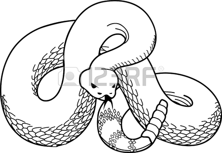 450x311 Rattlesnakes Stock Photos. Royalty Free Business Images