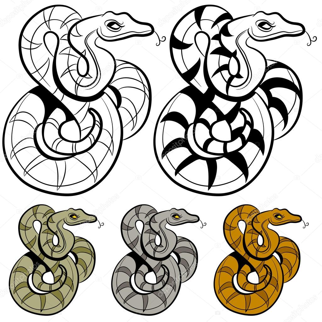1024x1024 Snake Drawing Stock Vector Cteconsulting