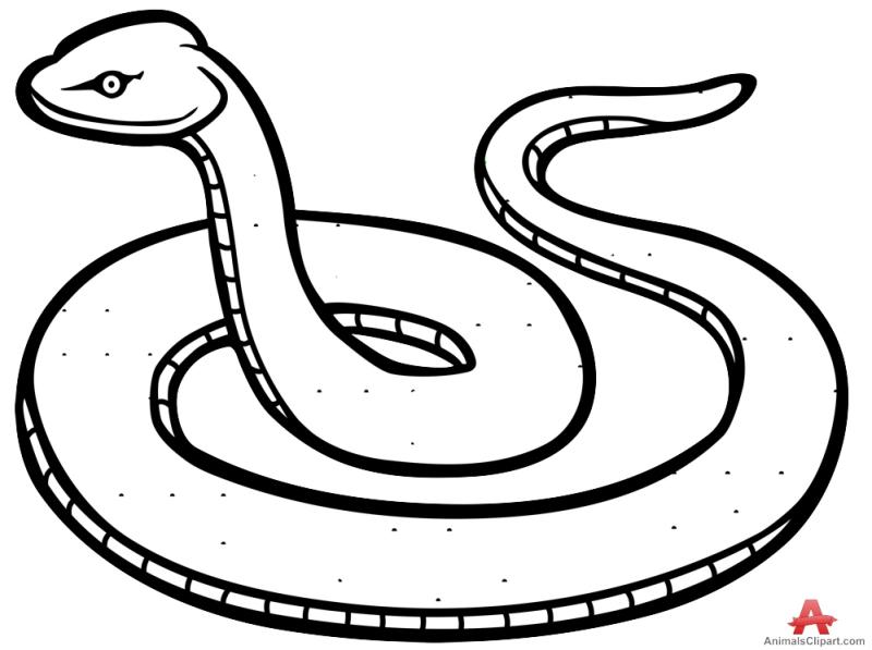 800x597 Long Snake Clipart