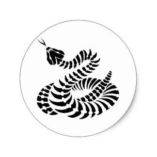 324x324 Coiled Rattlesnake Stickers Zazzle