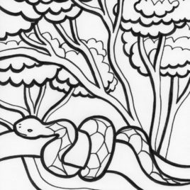 268x268 Coiled Snake Coloring Page Kids Drawing And Coloring Pages