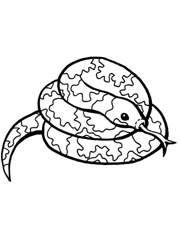 360x480 Coiled Snake Coloring Page Free Printable Coloring Pages