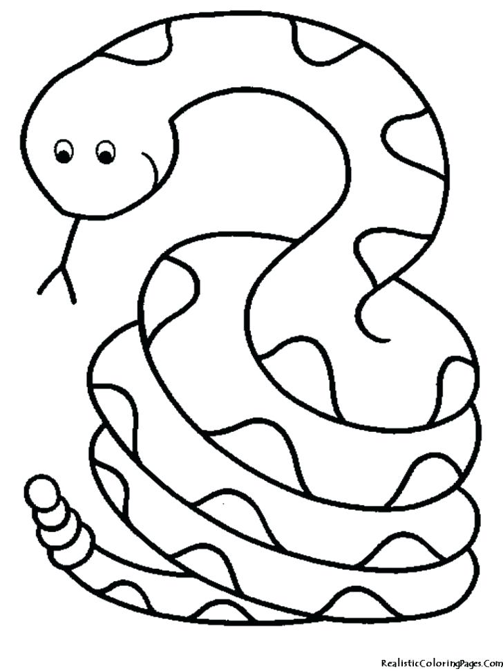 728x971 Snake Coloring Page