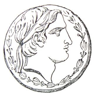 324x330 Filedemetriosisoter, Coin Face.jpg
